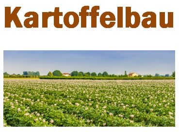 Bild der Kartoffelbau