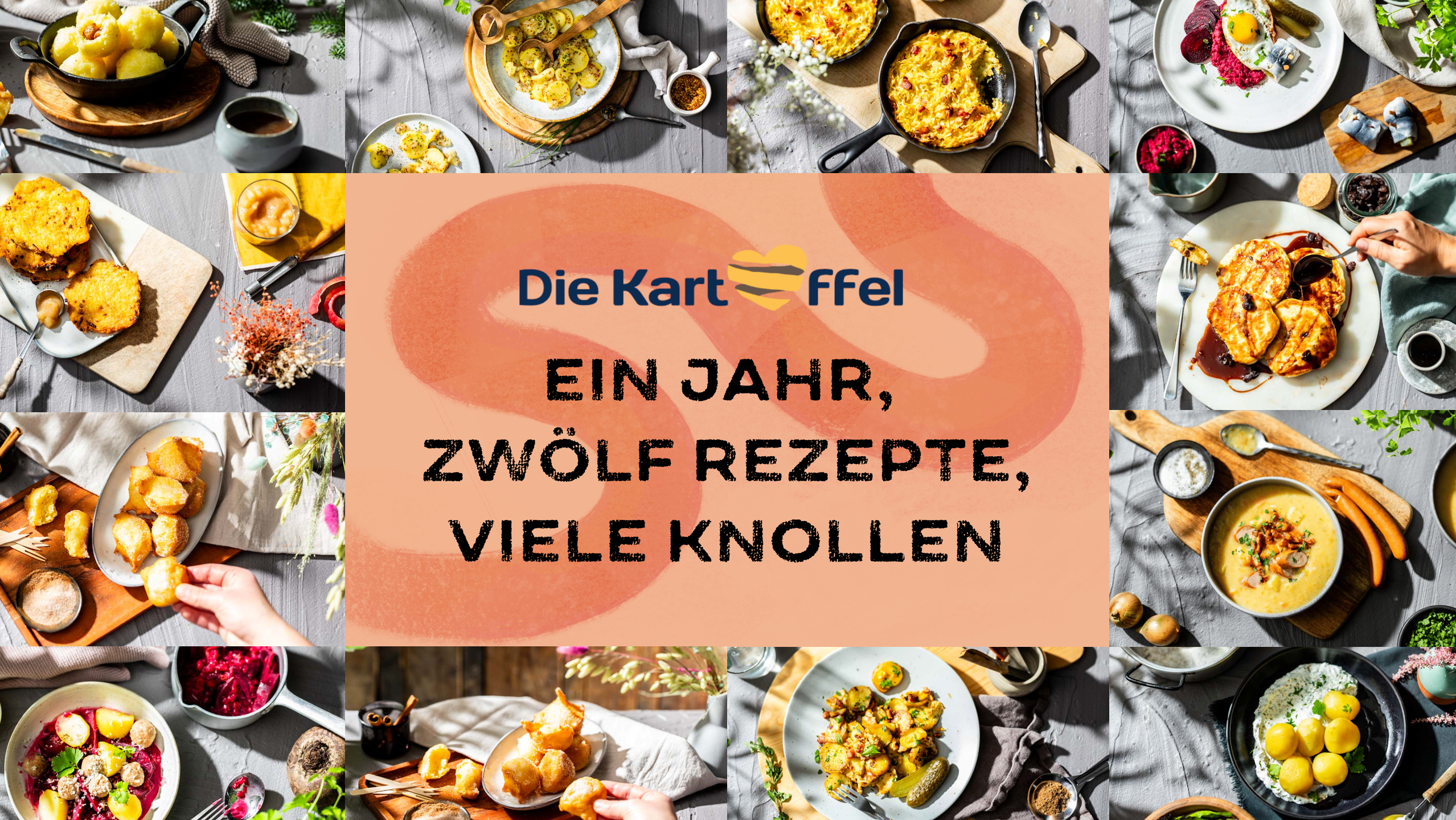 Die Kartoffel Kampagne